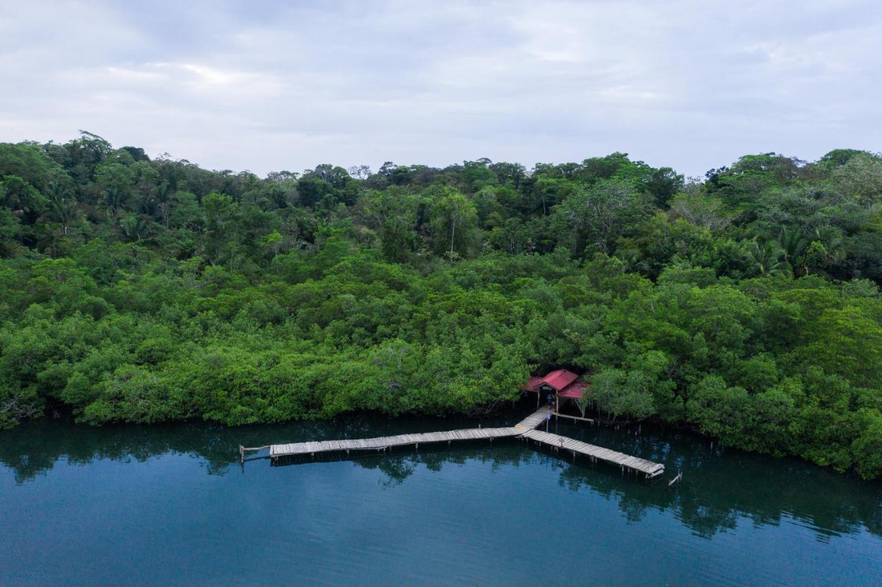 Palmar Beach Lodge Bocas del Toro Esterno foto