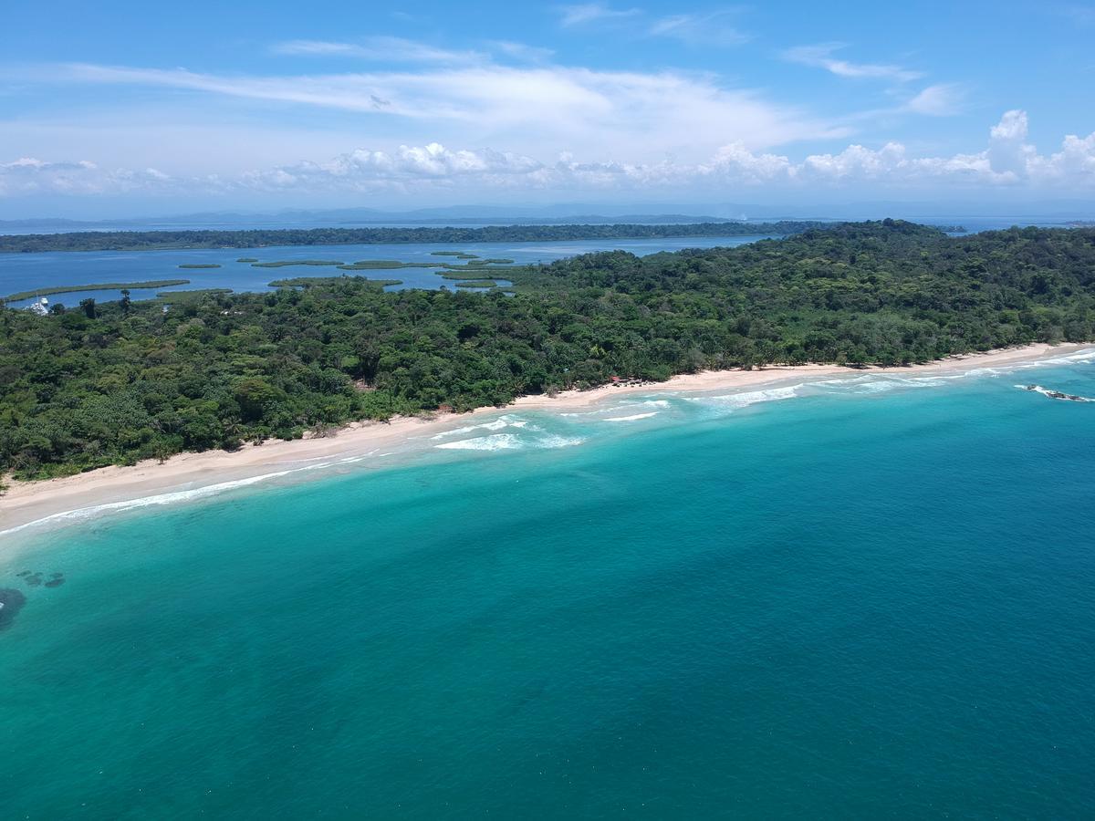 Palmar Beach Lodge Bocas del Toro Esterno foto